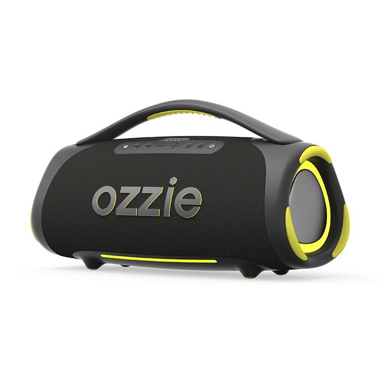 Ozzie Bluetooth Speaker Oplaadbaar met Bluetooth 5.3 100-300W Vermogen en 10.8V/7500mAh Batterij voor Buiten- en Binnengebruik